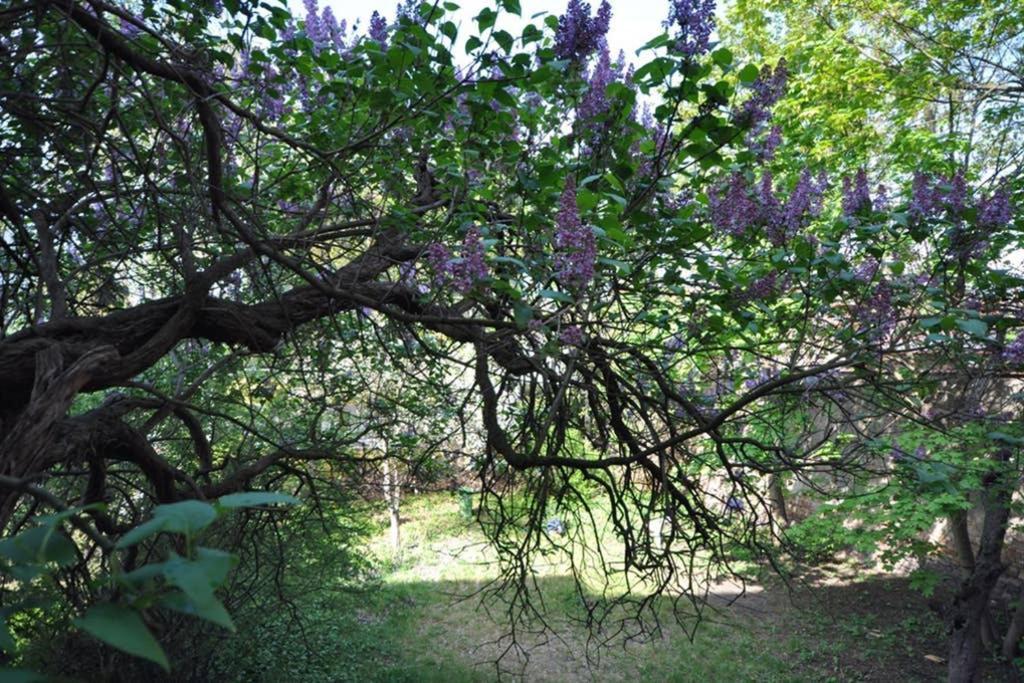 Apartamento Poznanska